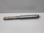 Rear shock absorber/damper