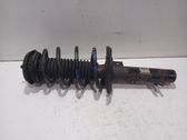 Front shock absorber with coil spring