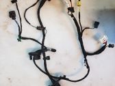 Front door wiring loom