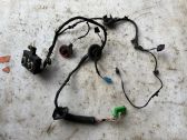 Front door wiring loom