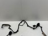 Rear door wiring loom