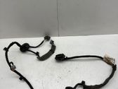 Rear door wiring loom