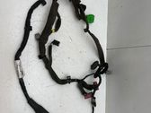 Cableado de puerta delantera
