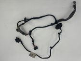 Cableado de puerta trasera