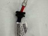 Positive cable (battery)