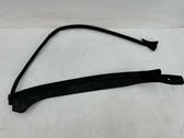 Front door trim (molding)