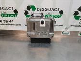 Engine control unit/module ECU