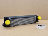 Intercooler radiator