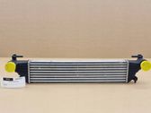 Intercooler radiator
