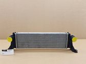 Intercooler radiator