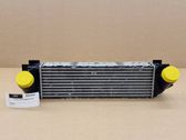 Intercooler radiator
