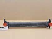 Intercooler radiator