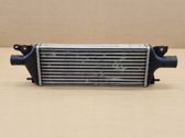 Radiador intercooler