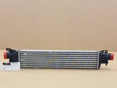 Intercooler radiator