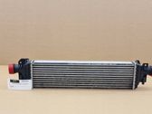 Radiador intercooler