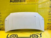 Motorhaube