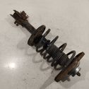 Front shock absorber with coil spring