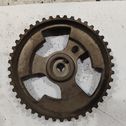 Crankshaft gear