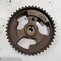 Crankshaft gear