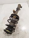 Front shock absorber with coil spring