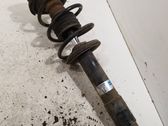 Front shock absorber with coil spring