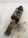 Front shock absorber with coil spring