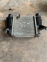 Radiatore intercooler