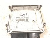 Calculateur moteur ECU