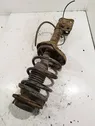 Front shock absorber with coil spring