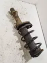 Front shock absorber with coil spring