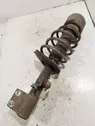 Front shock absorber with coil spring