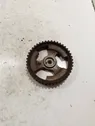 Crankshaft gear