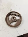 Crankshaft gear