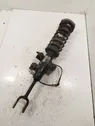 Front shock absorber with coil spring