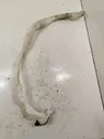 Tubo riempimento della vaschetta del liquido lavavetri