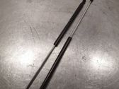 Tailgate/trunk strut/damper
