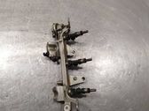 Fuel injection system set