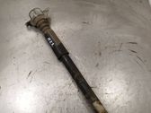Rear shock absorber/damper