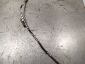 Oil level dip stick