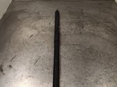 Tailgate/trunk strut/damper