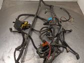 Engine installation wiring loom