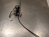 Curtain motor