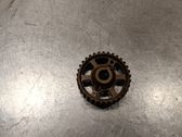 Fuel pump gear (pulley)