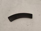 Fender trim (molding)