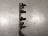 Fuel injection system set