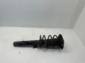 Front shock absorber with coil spring