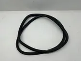 Rear door rubber seal (on body)