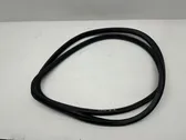 Rear door rubber seal (on body)