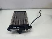 Electric cabin heater radiator