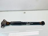 Rear shock absorber/damper
